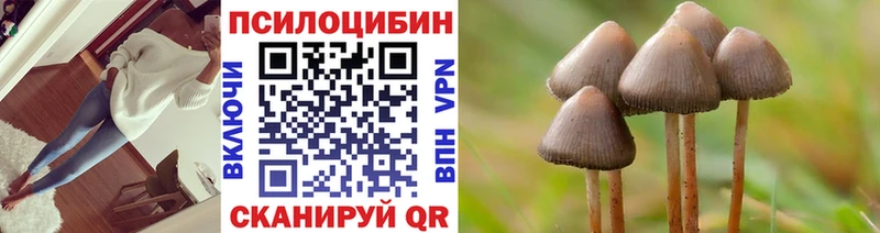 хочу   Энем  Галлюциногенные грибы мицелий 